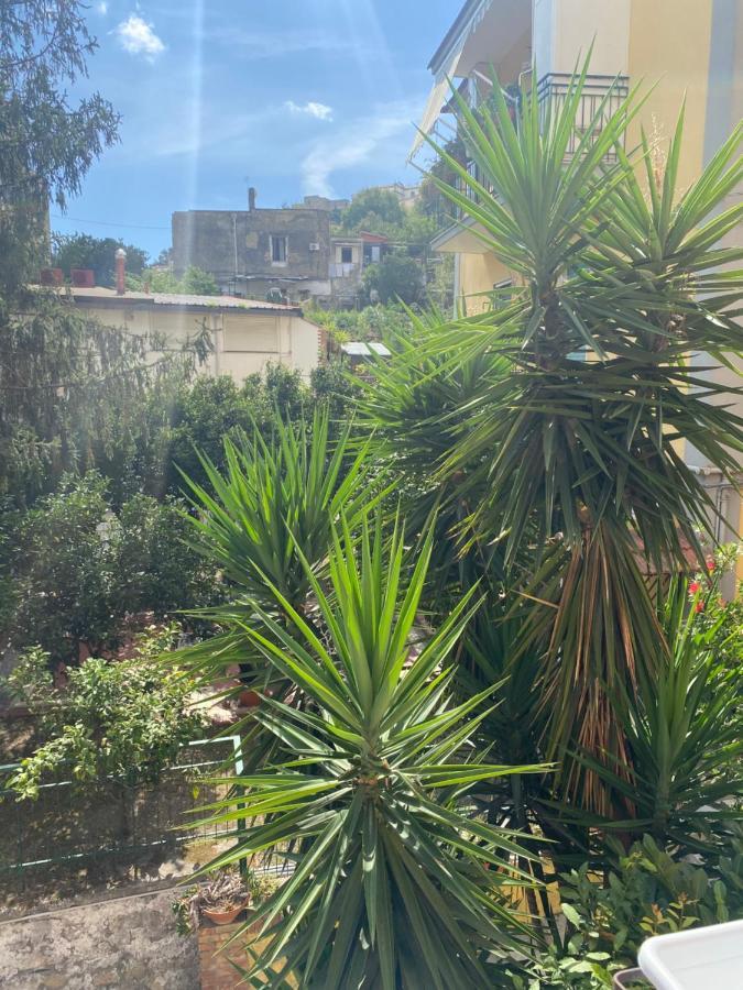 Garden House Apartments In Naples Extérieur photo
